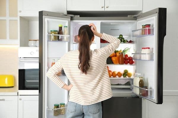 7 Reasons Why Your Refrigerator Has Stopped Working