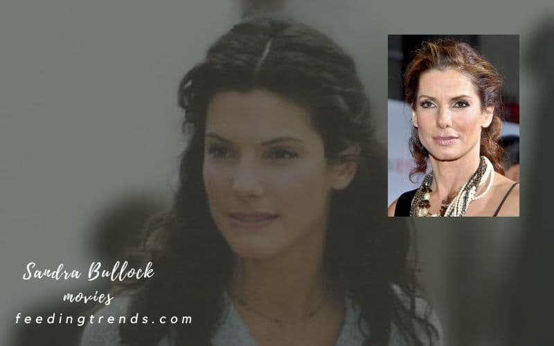 27 Sandra Bullock Movies That Are Worth To Watch