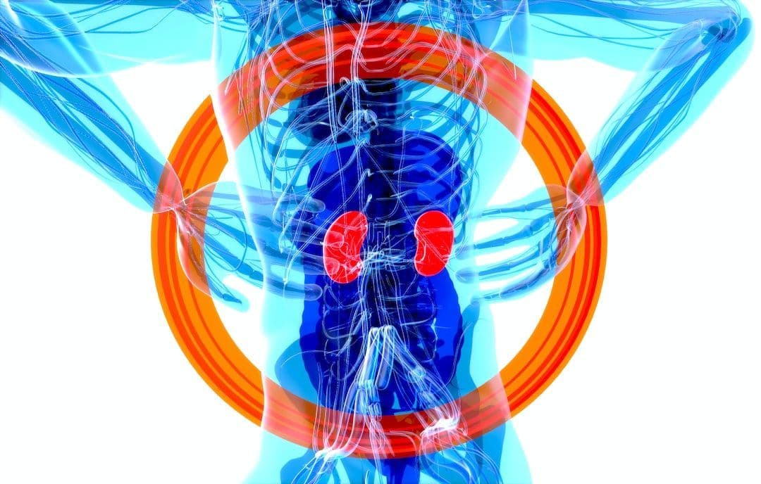 15 Symptoms of Kidney Disease That You Must Be Aware Of