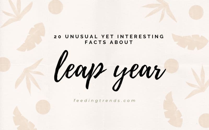 20 Facts About Leap Year Which Are Unusual Yet Interesting