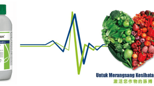 Grow Healthy With Vegetable Biostimulants: Get Quality Seeds Now!