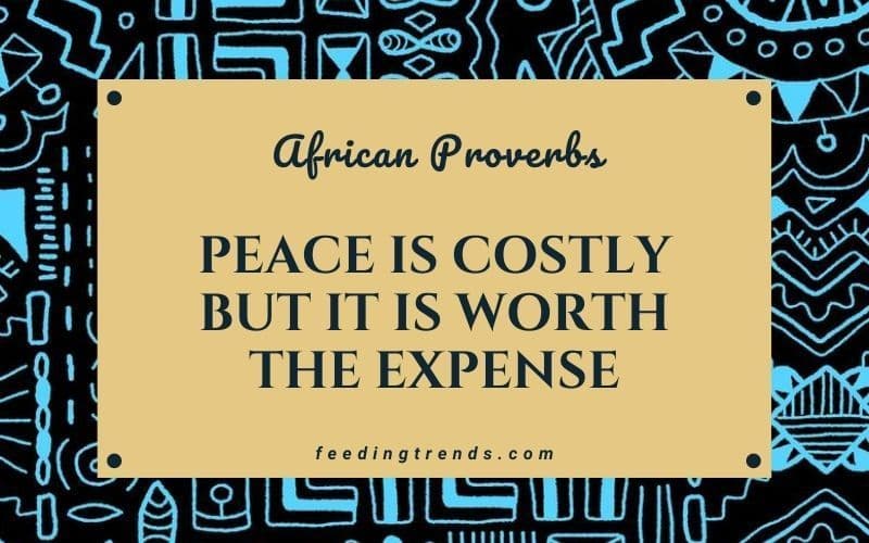 35 African Proverbs With Their English Meaning