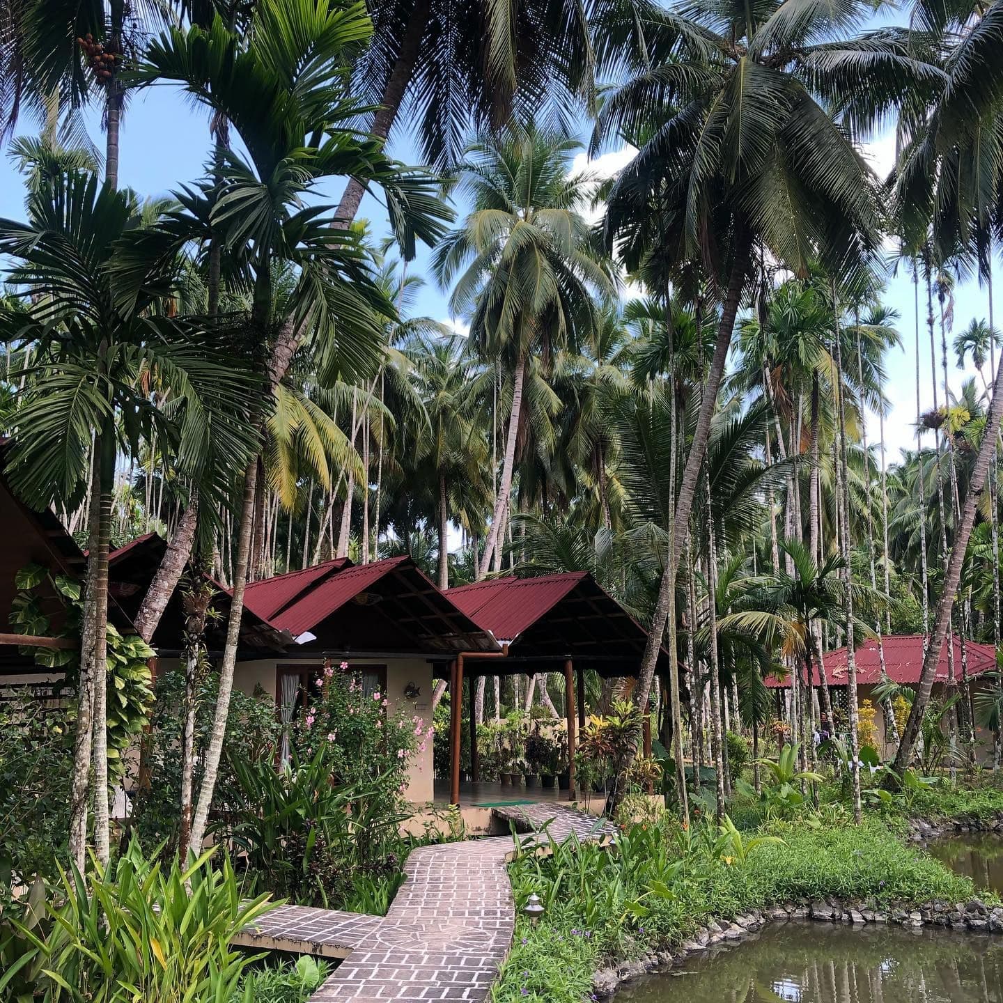 5 Budget-Friendly Honeymoon Beach Resort in Havelock