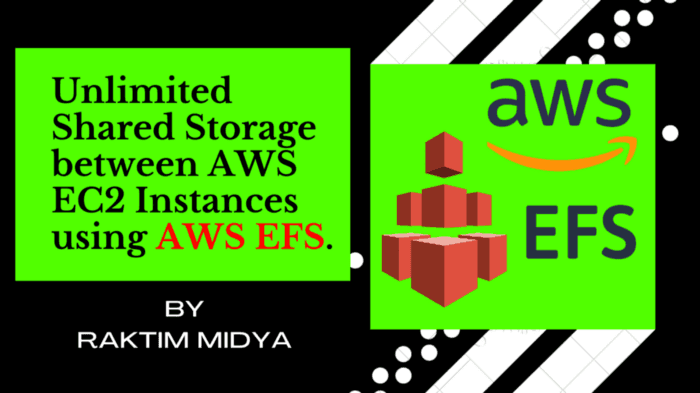 Use Efs as a Storage for Multiple Ec2 Instances.