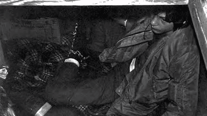 The Boy in the Box | Paul Martin Andrews