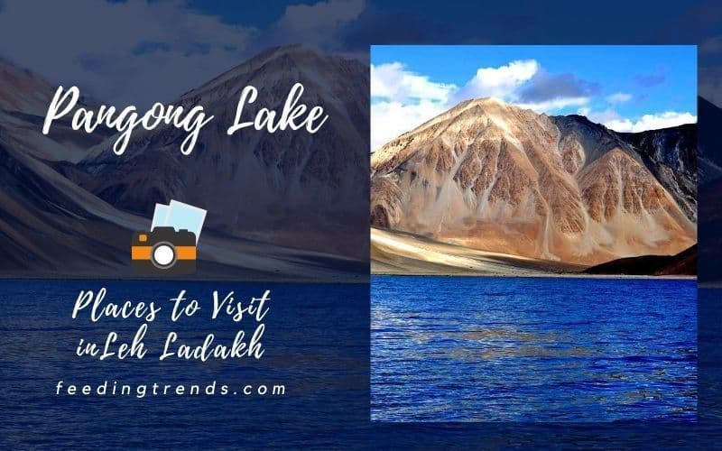 52 Places To Visit In Leh Ladakh To Explore The Unbelievable Adventure