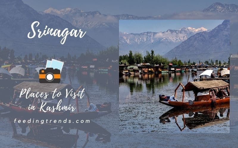 35 Places To Visit In Kashmir That Will Dazzle Your Heart