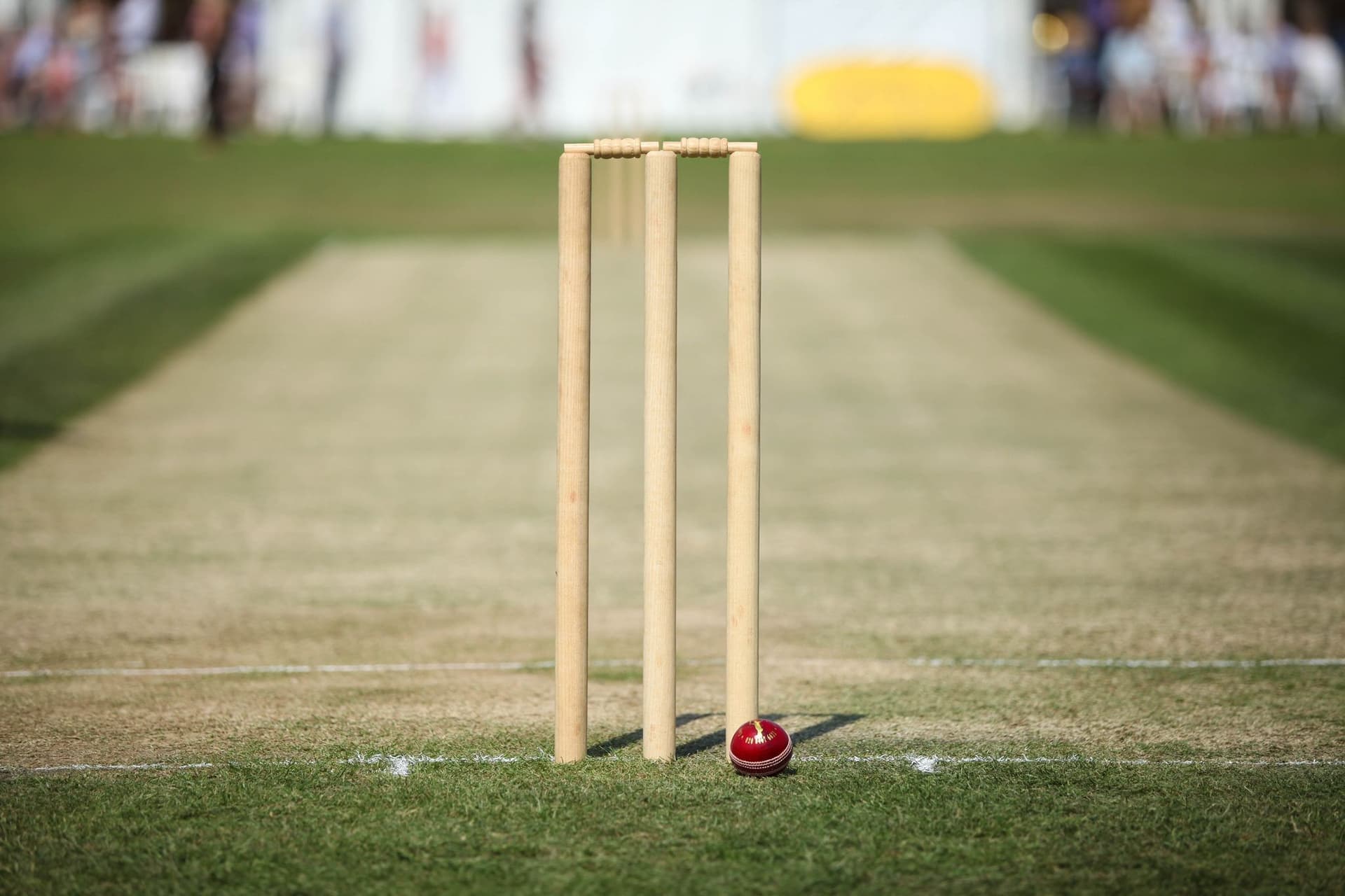 Navigating the World of Online Cricket Betting Website