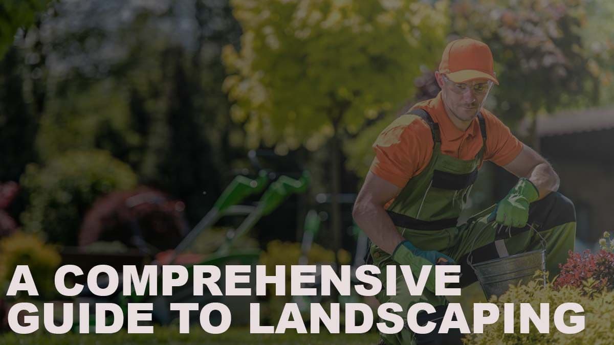 A Comprehensive Guide to Landscaping
