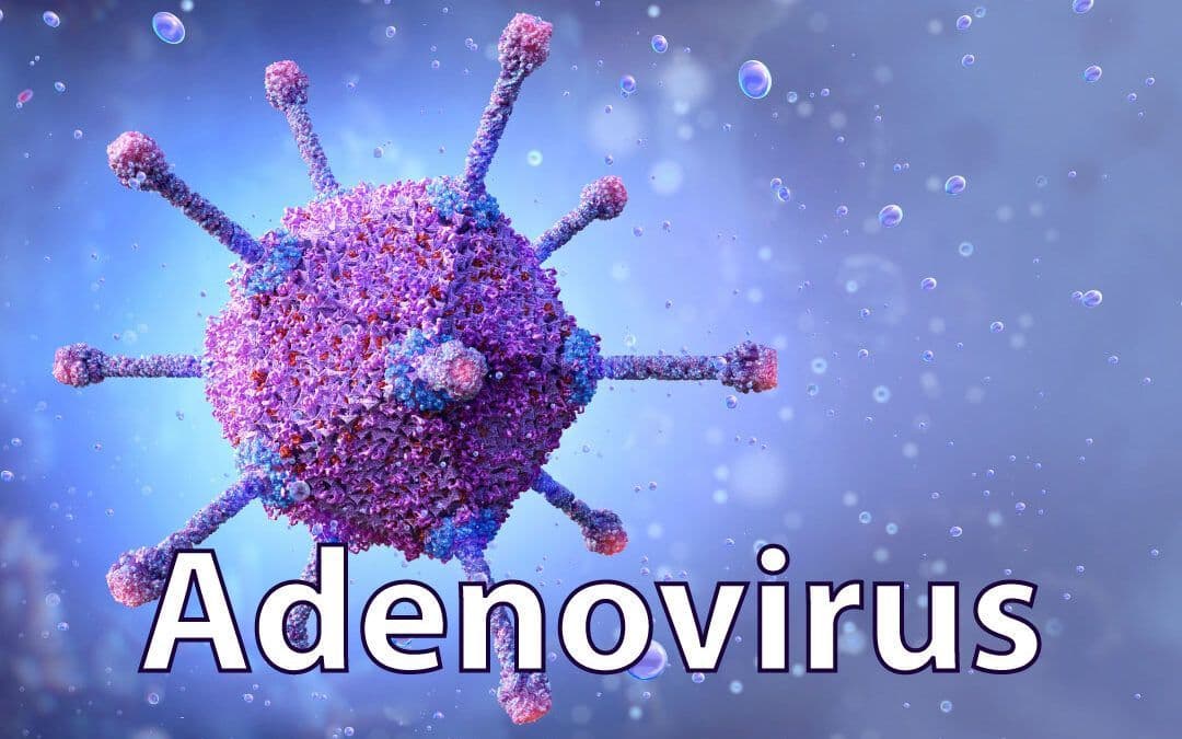 Adenovirus Type 4 and Type 7 Vaccine Market 2030