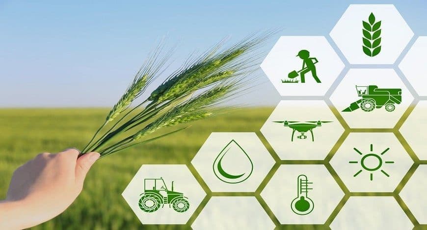 Agriculture Supply Chain Management Market In-Depth Analysis 2028