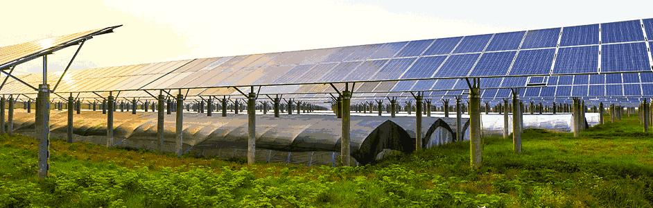 Agritecture Market to Be Valued Usd 7723.74 Million by 2028