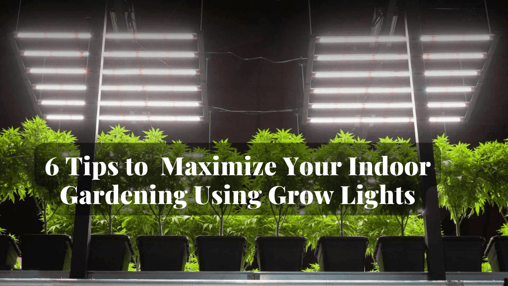 6 Tips to Maximize Your Indoor Gardening Using Grow Lights