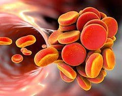 Anticoagulant Reversal Drugs Market: Global Industry Analysis