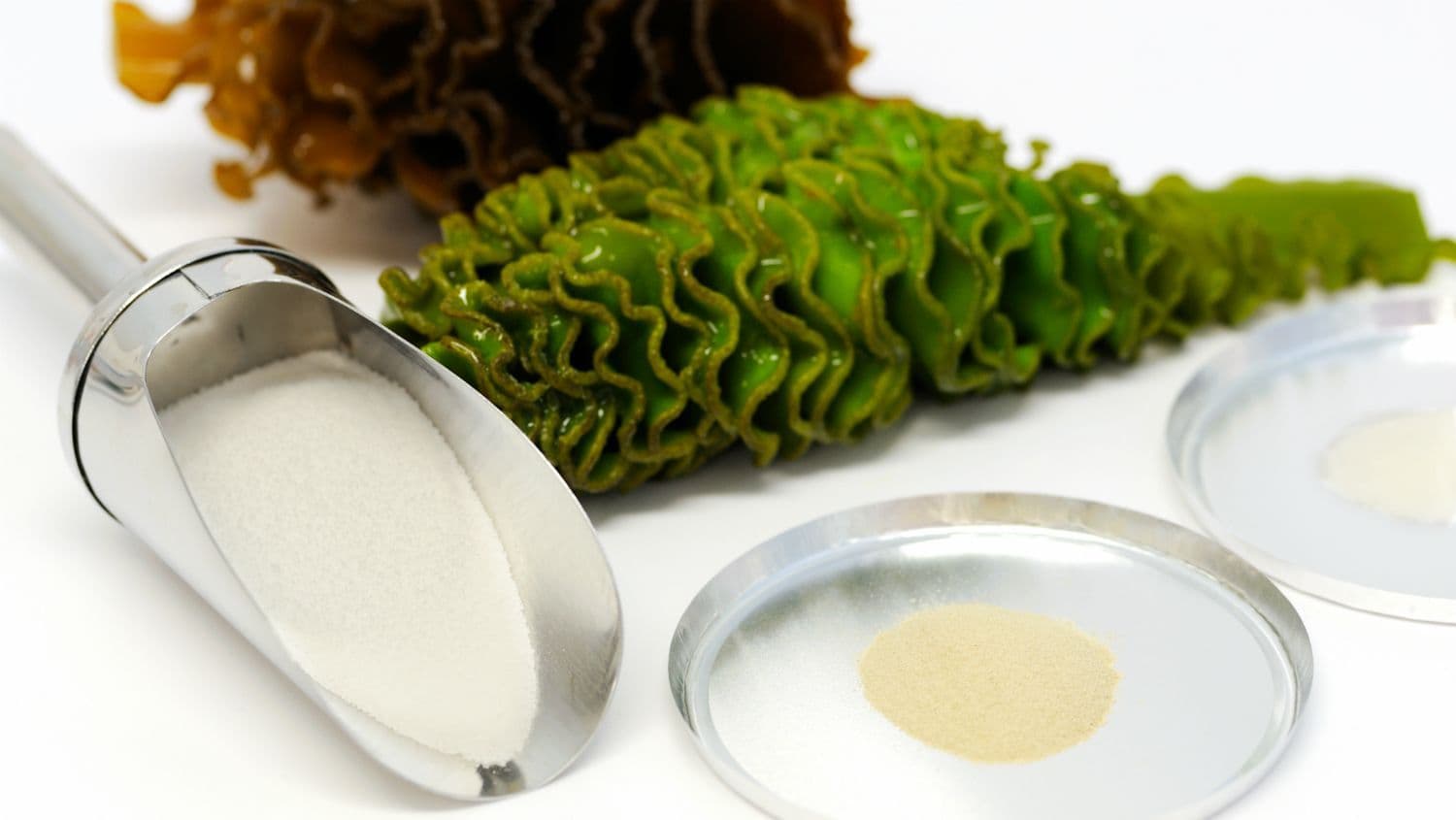 Seaweed Cosmetics Food Beverage Market to Witness Huge 2030