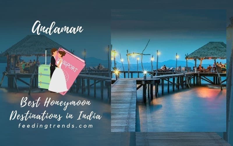 10 Top Best Honeymoon Destinations In India