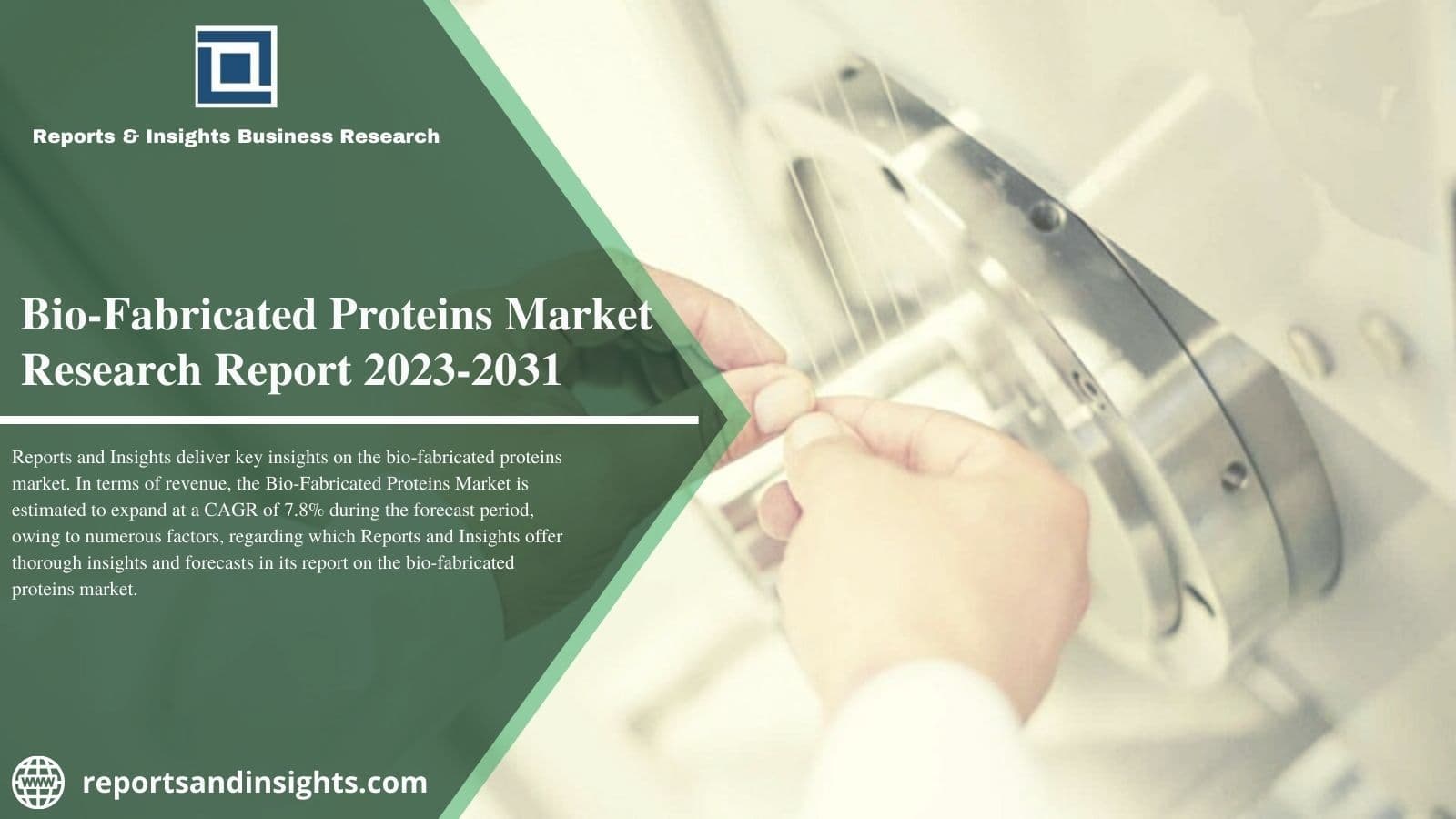 Bio-Fabricated Proteins Market Size, Share & Trend Analysis 2031