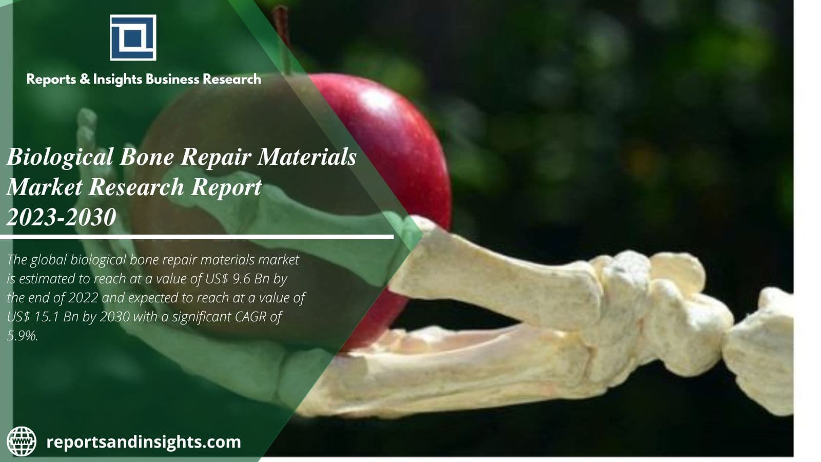 Market Demand Biological Bone Repair Materials Market Share 2030