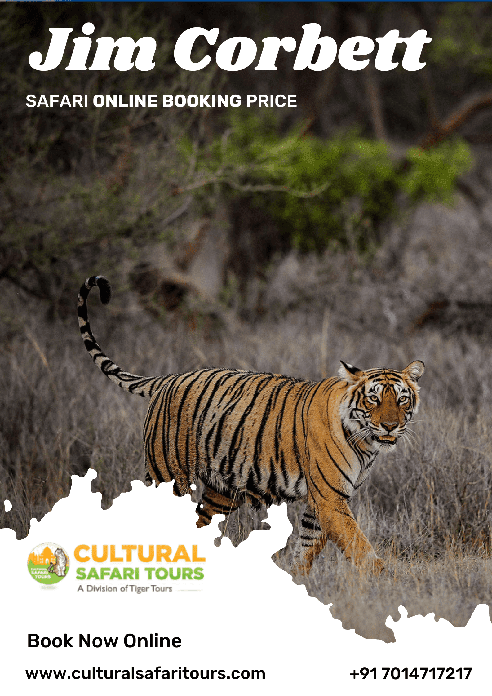 Jim Corbett National Park Safari Booking Price 2023