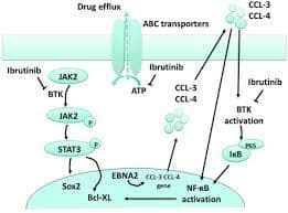 Bruton Tyrosine Kinase Inhibitors Market Size & Forecast Report