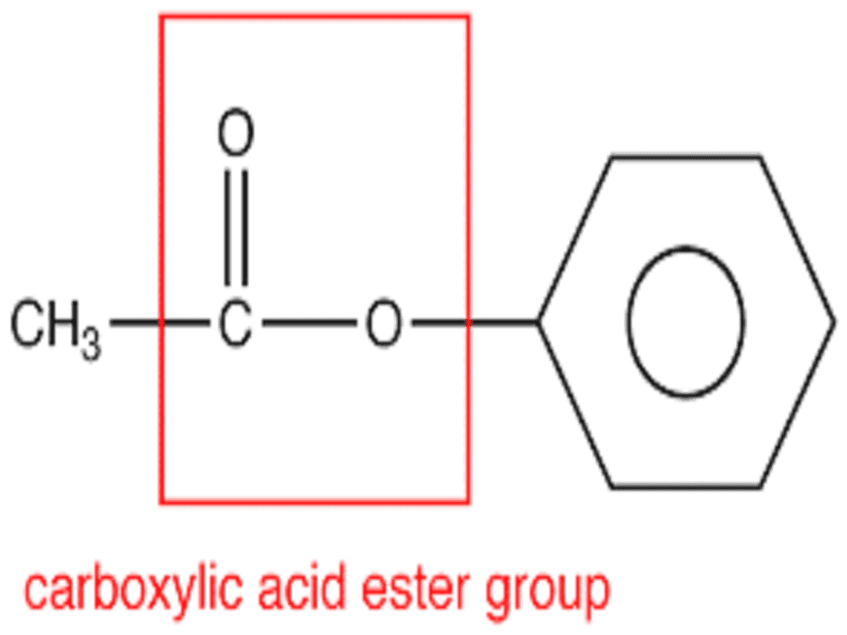 Carboxylic Acids Based Esters Market Analysis & Forecast to 2028