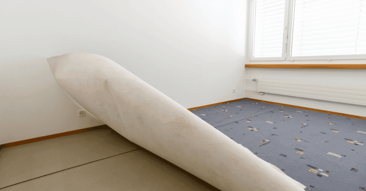7 Essential Tips to Prolong the Lifespan of Your Carpet