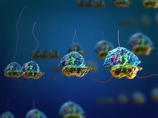 Cell-Free Protein Expression Market Size, Report 2023-2028