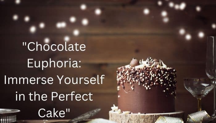 Chocolate Euphoria: Immerse Yourself in the Perfect Cake