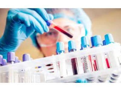 Clinical Laboratory Services Market: Global Analysis 2030