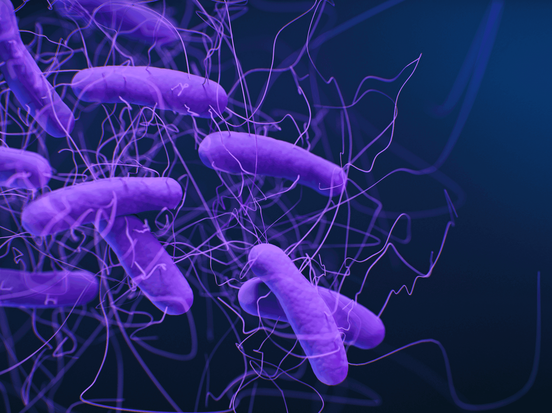 Clostridium Difficile Immunoassays Market Industry Analysis 2028