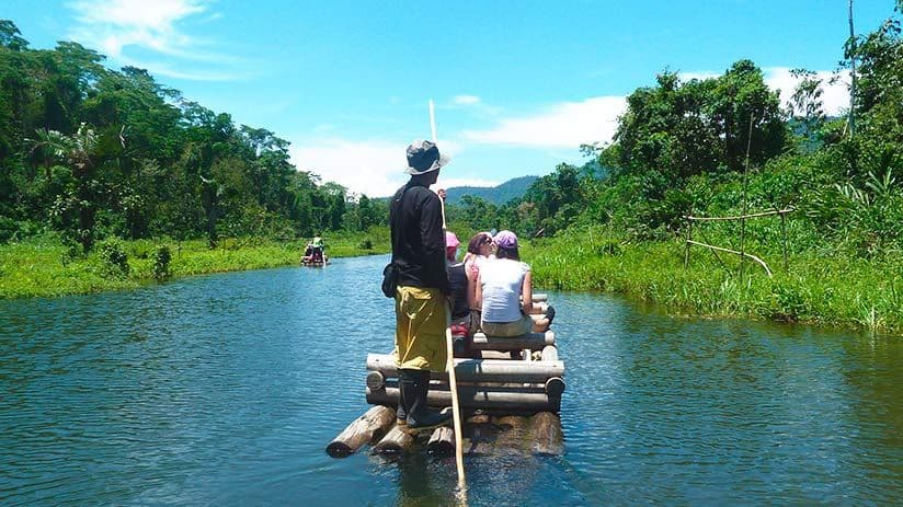 Manu Tours Peru: Amazon Expertise With Small Group Tours