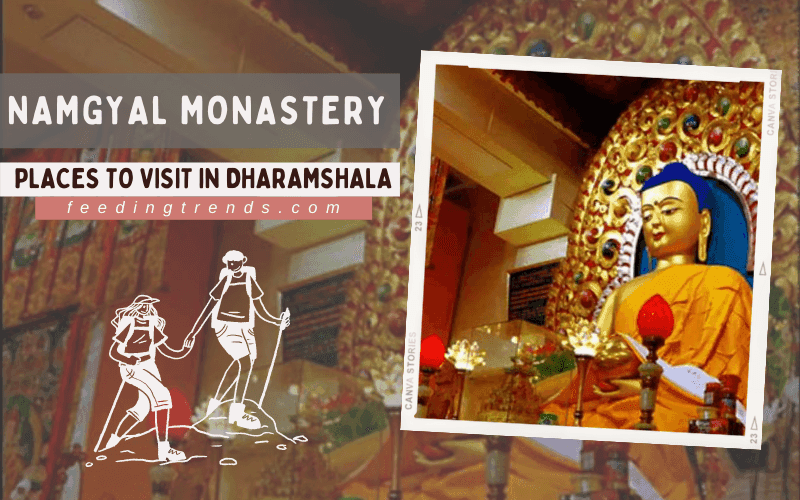 37 Places To Visit In Dharamshala For A Cozy Vaca