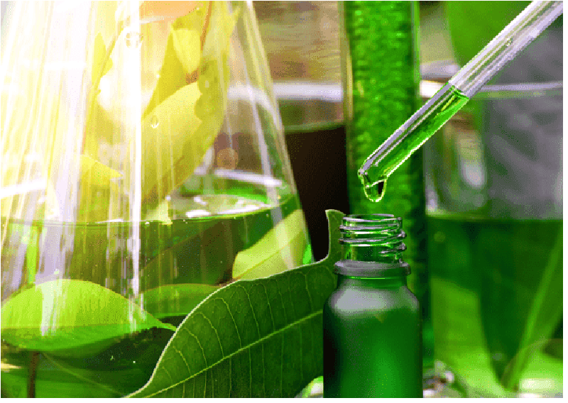 Cosmetic Preservatives Market Size, Share, Report by 2030