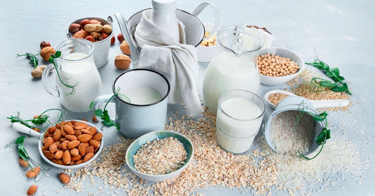 Dairy Blends Market Size, Growth & Global Forecast Report to 2028
