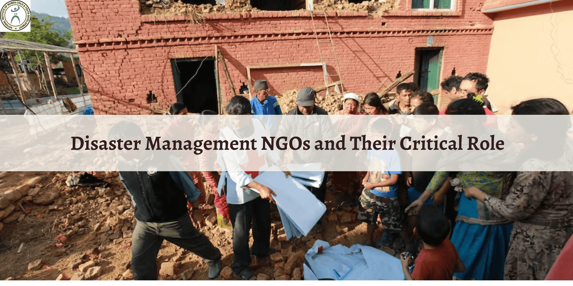 Disaster Management Ngos and Their Critical Role