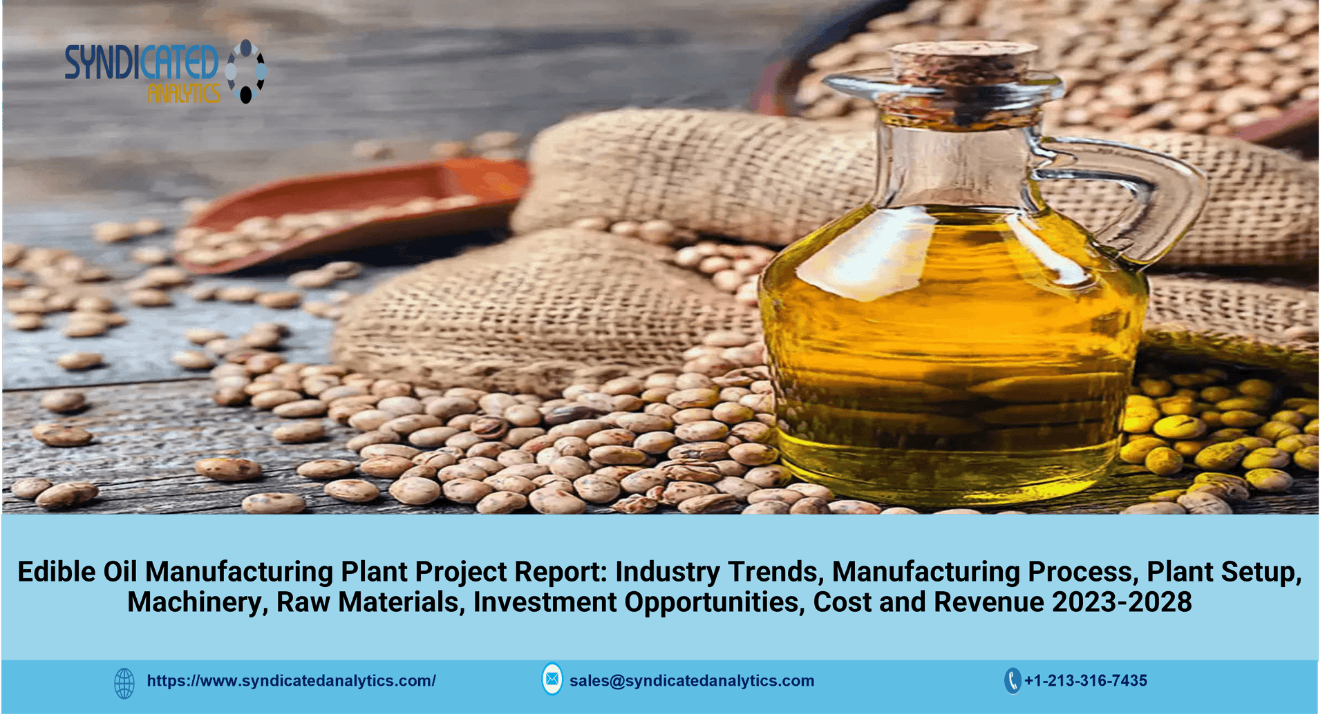 Edible Oil Manufacturing Plant 2023-2028: Plant Cost