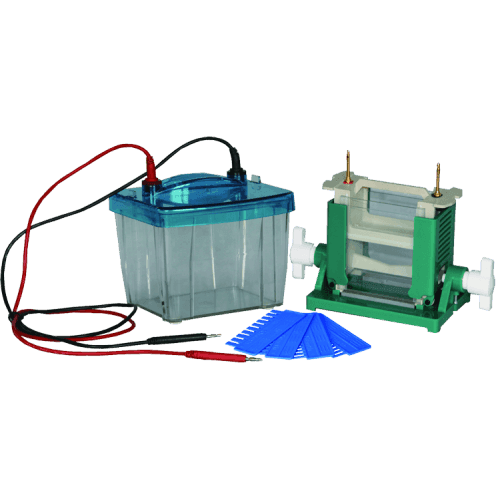 Electrophoresis Transilluminator Market Size 2021–2028