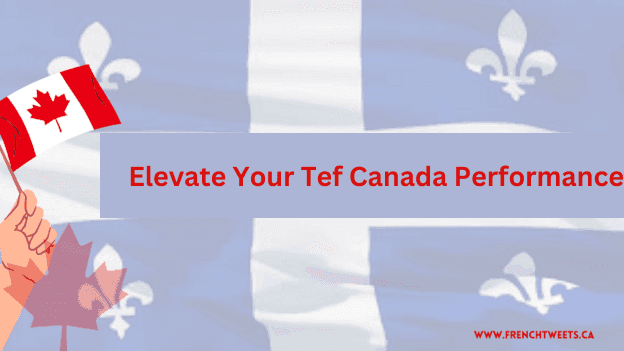 Elevate Your Tef Canada Performance