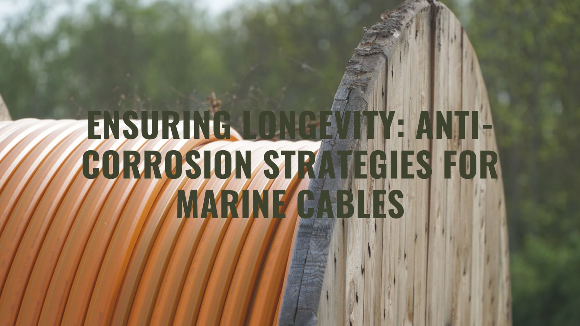 Ensuring Longevity: Anti-Corrosion Strategies for Marine Cables
