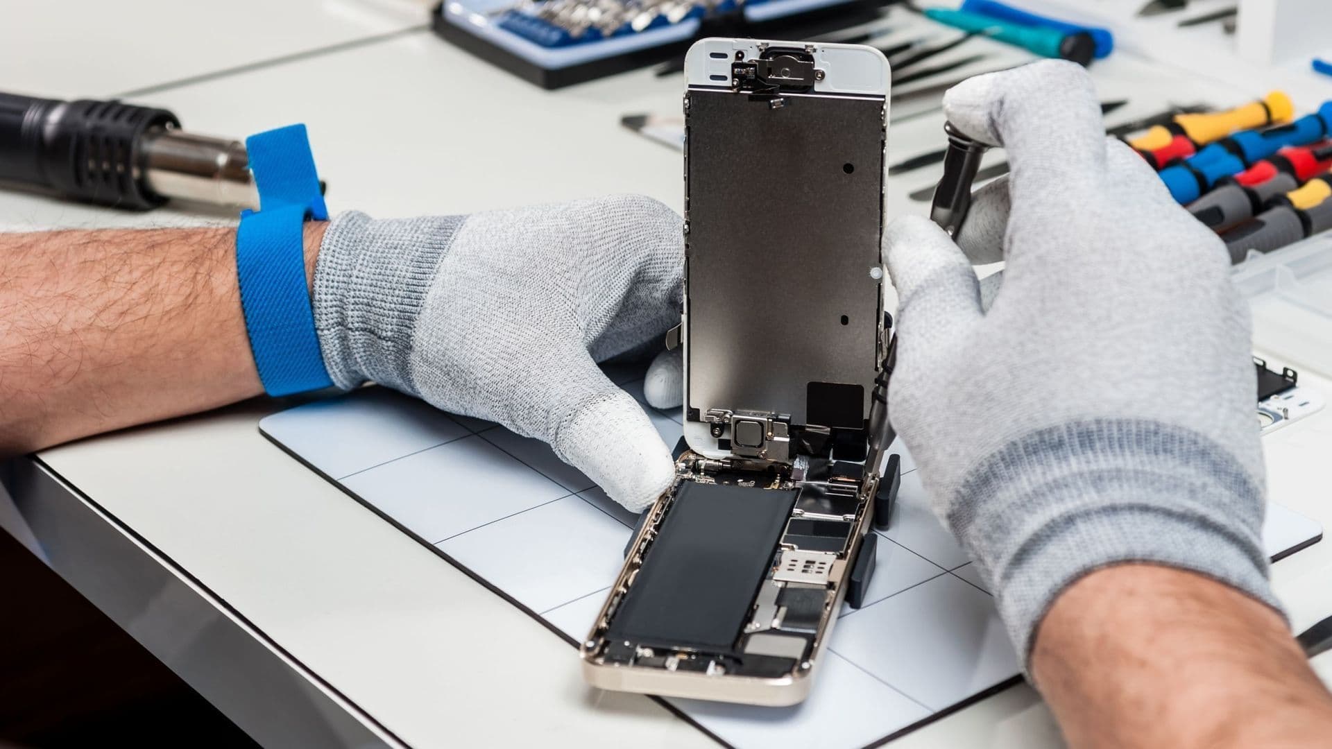 Factors to Consider When Looking for Local Phone Repair Services