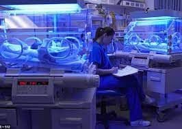 Fetal and Neonatal Care Equipment Market Size, Status, Growth