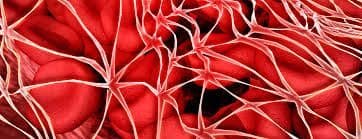 Fibrin Degradation Product Assays Market Report