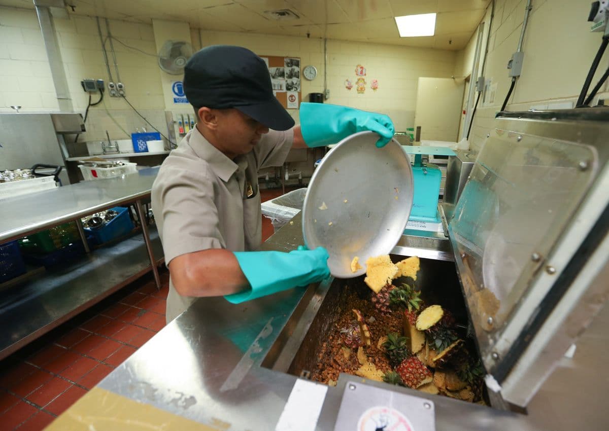 Reducing Food Waste: The Power of Food Waste Recycling Machines