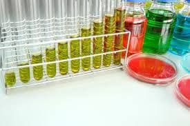 Foodborne Pathogen Testing Kits Market Analysis and Forecast