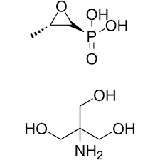 Fosfomycin Trometamol Powder Market Trends & Forecast Report