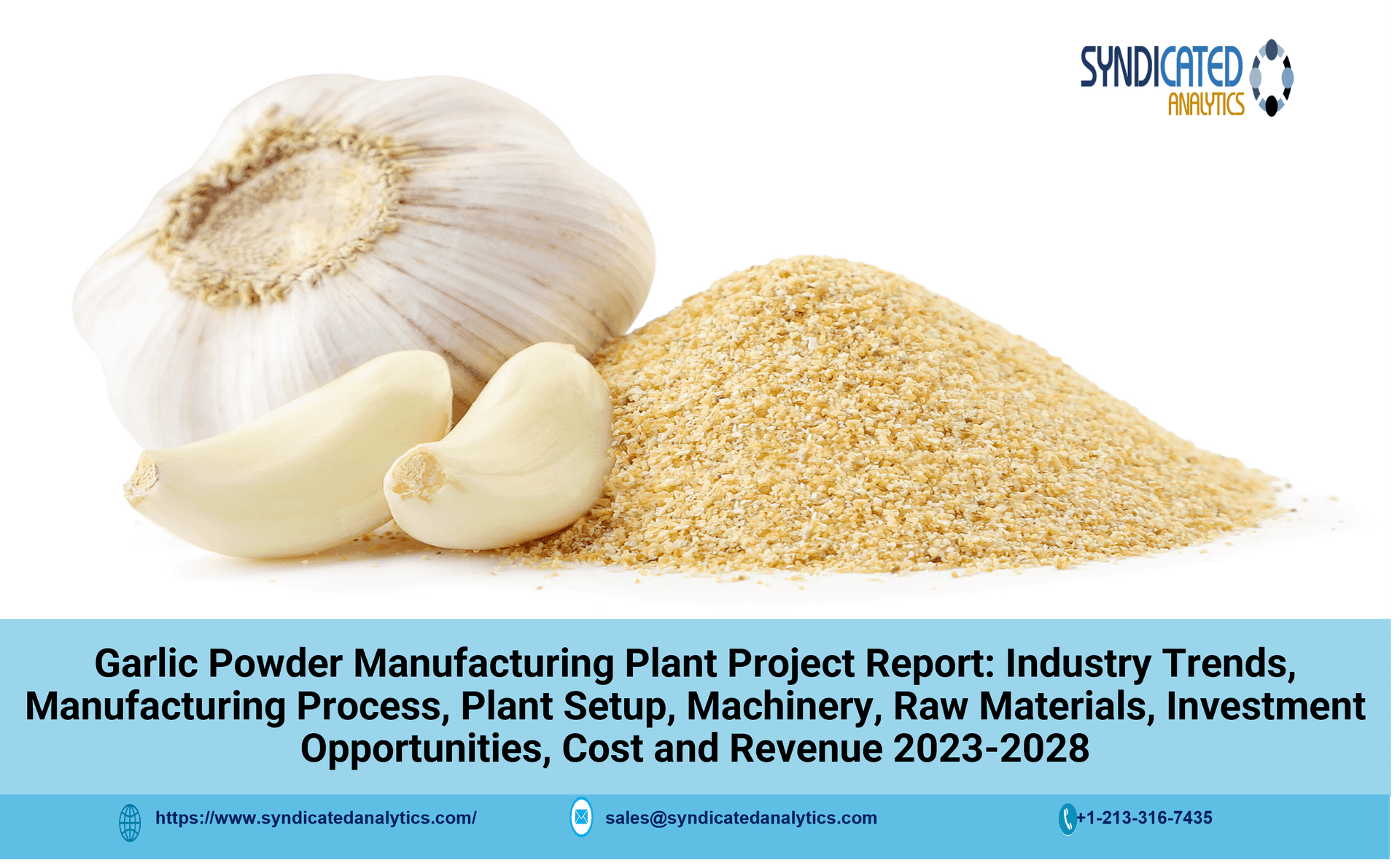 Detailed Project Report on Garlic Powder Manufacturing 2023-2028