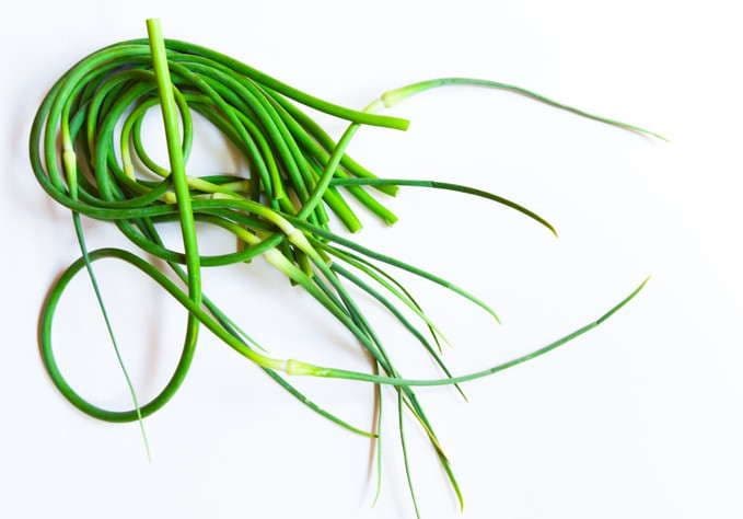 Garlic Scape and Fennel Frond Pesto!