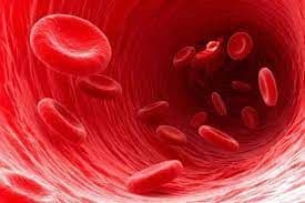 Glanzmann Thrombasthenia Therapeutic Drug Market Trends, Share