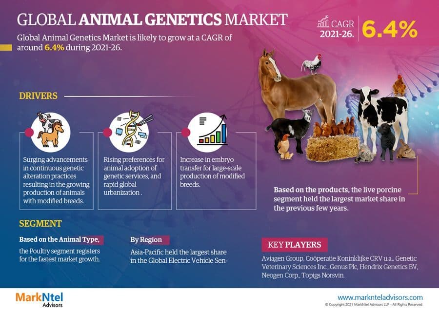 Global Animal Genetics Market Application and Short Analysis