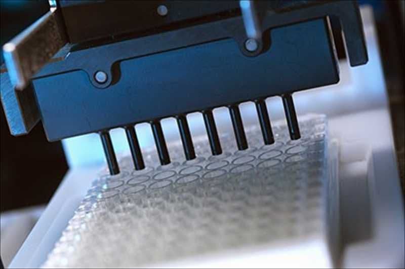 Global Custom Antibody Market Report by Size, Shares, and Demand